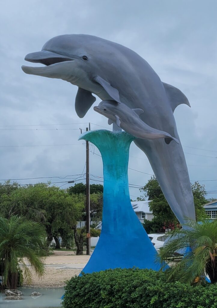 Dolphin Research Center 